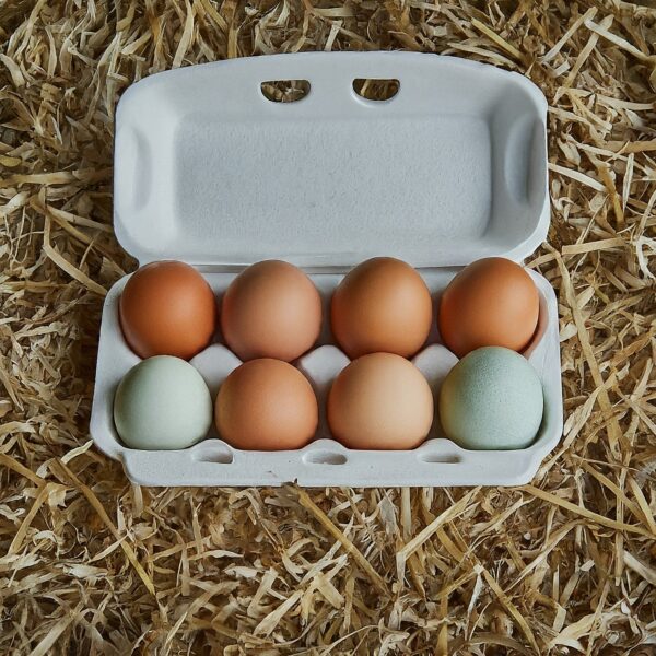 Clucking Egg Co Eggs - Fresh from Our Backyard